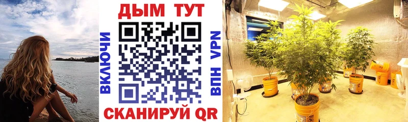 Какие есть наркотики Ессентуки APVP  АМФ  Вейп ТГК  Гашиш  Метамфетамин 