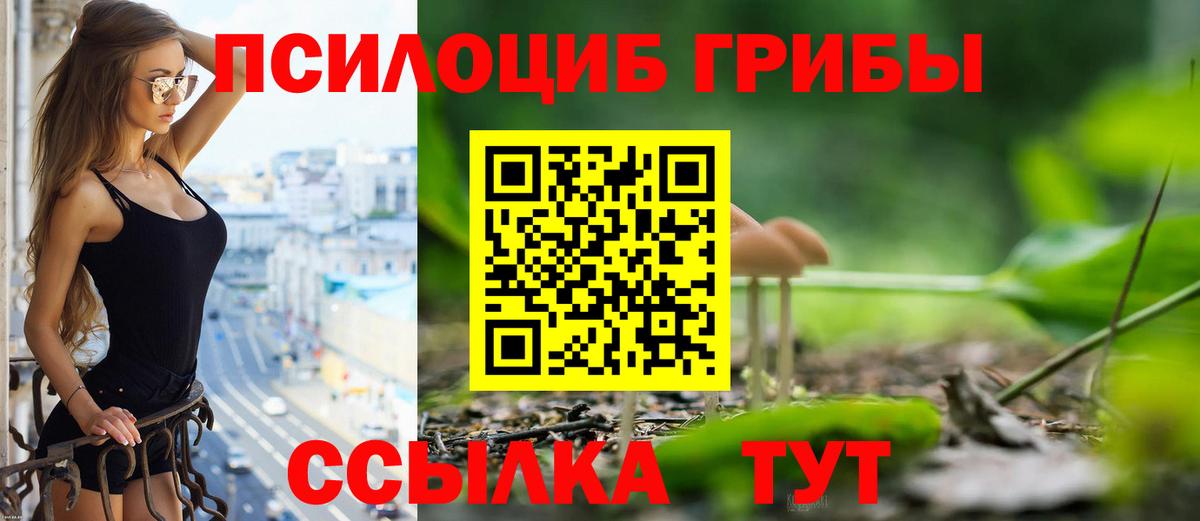 Ессентуки  Галлюциногенные грибы мухоморы  Вход с VPN 