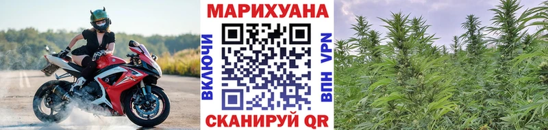 Канабис гибрид Ессентуки